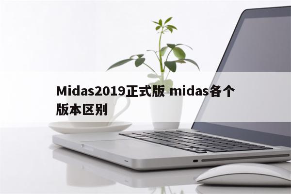 Midas2019正式版 midas各个版本区别