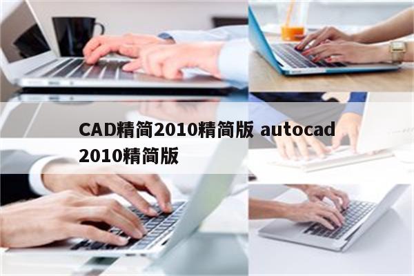 CAD精简2010精简版 autocad2010精简版