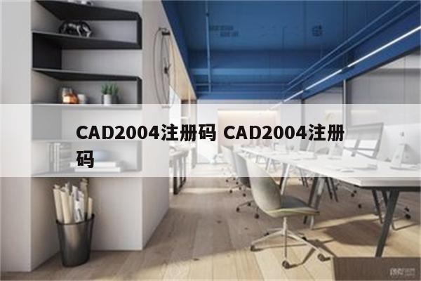 CAD2004注册码 CAD2004注册码