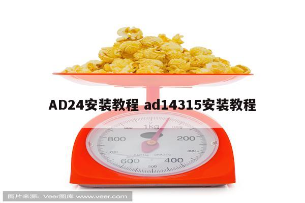 AD24安装教程 ad14315安装教程