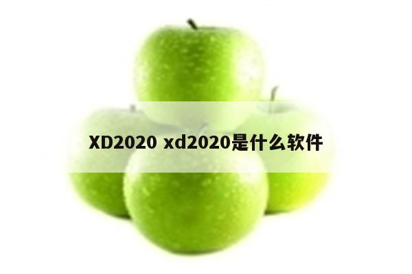 XD2020 xd2020是什么软件