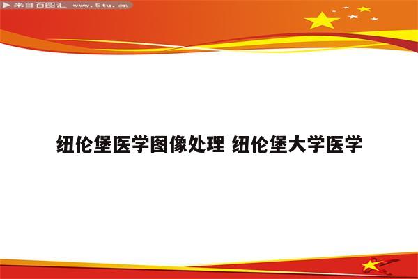 纽伦堡医学图像处理 纽伦堡大学医学