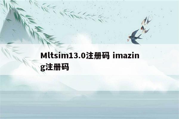 Mltsim13.0注册码 imazing注册码