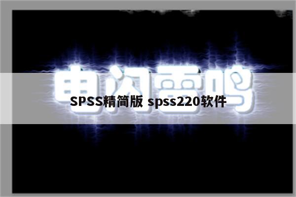 SPSS精简版 spss220软件