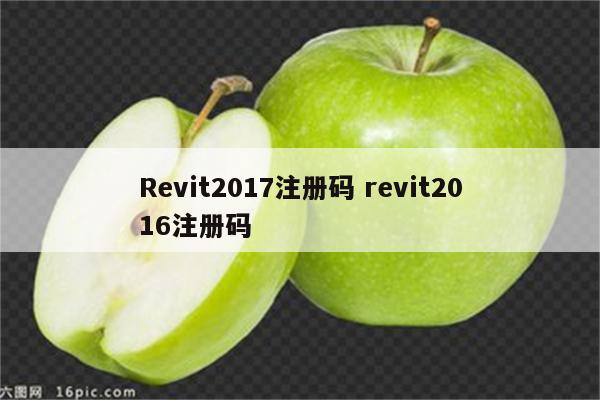 Revit2017注册码 revit2016注册码