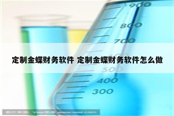 定制金蝶财务软件 定制金蝶财务软件怎么做