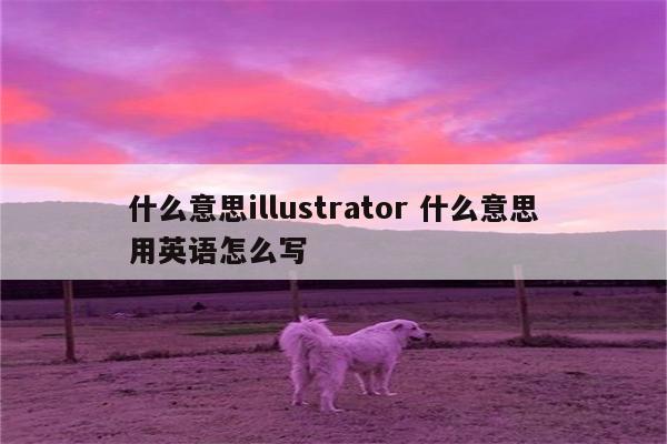 什么意思illustrator 什么意思用英语怎么写