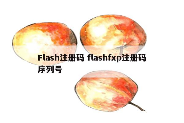 Flash注册码 flashfxp注册码序列号