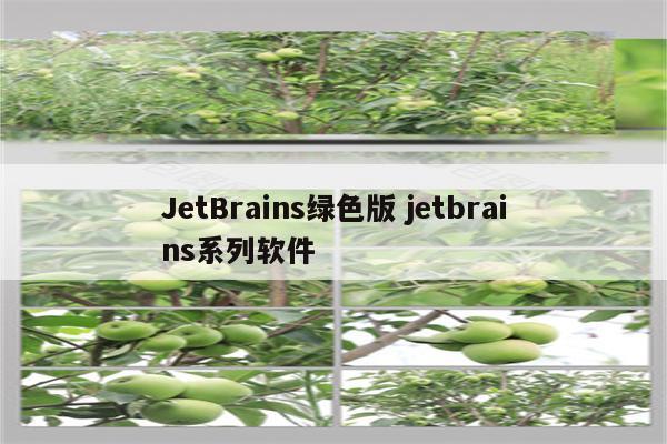 JetBrains绿色版 jetbrains系列软件