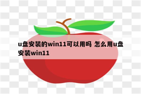 u盘安装的win11可以用吗 怎么用u盘安装win11