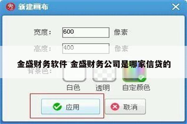 金盛财务软件 金盛财务公司是哪家信贷的