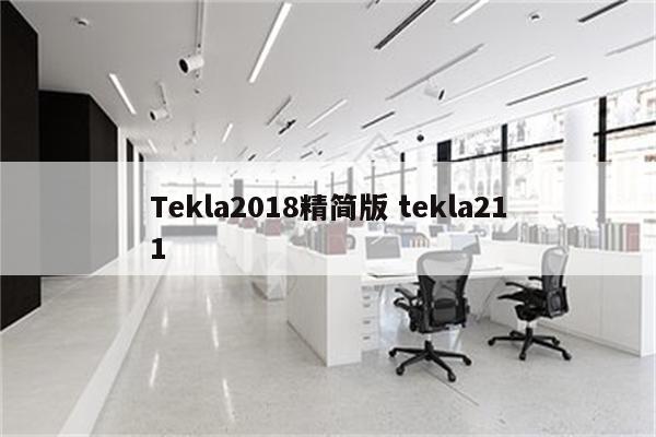 Tekla2018精简版 tekla211