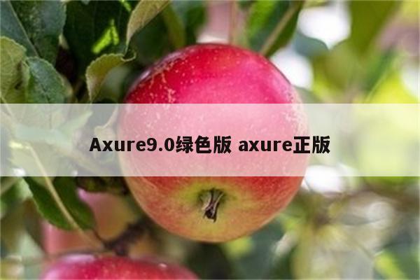 Axure9.0绿色版 axure正版