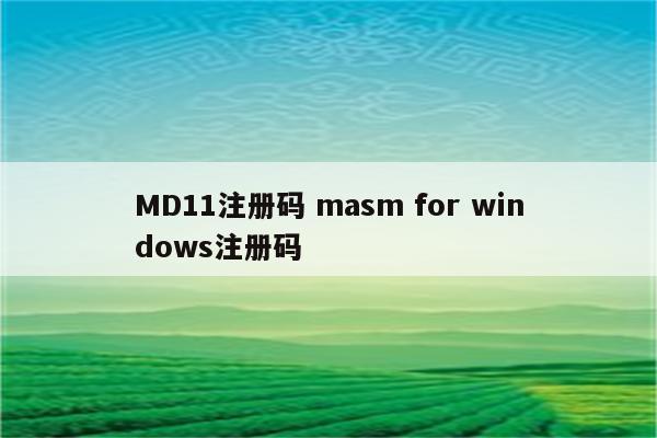 MD11注册码 masm for windows注册码