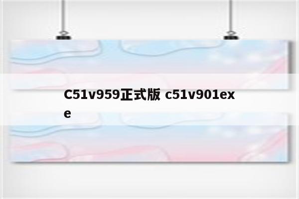 C51v959正式版 c51v901exe