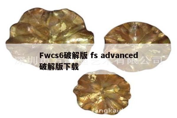 Fwcs6破解版 fs advanced破解版下载