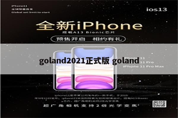 goland2021正式版 goland