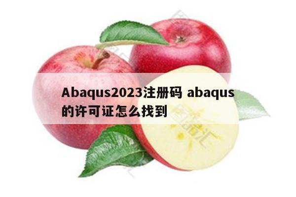 Abaqus2023注册码 abaqus的许可证怎么找到