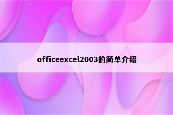 officeexcel2003的简单介绍