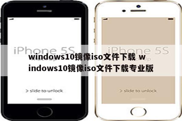 windows10镜像iso文件下载 windows10镜像iso文件下载专业版