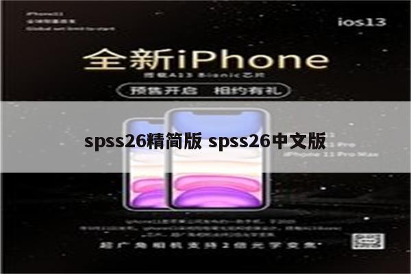 spss26精简版 spss26中文版