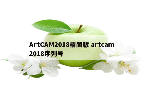 ArtCAM2018精简版 artcam2018序列号