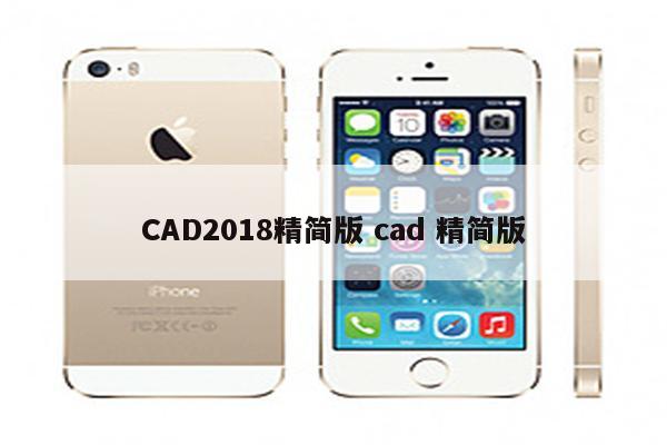 CAD2018精简版 cad 精简版