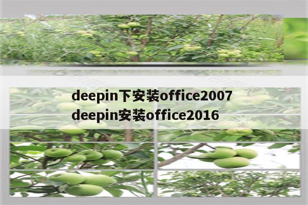 deepin下安装office2007 deepin安装office2016