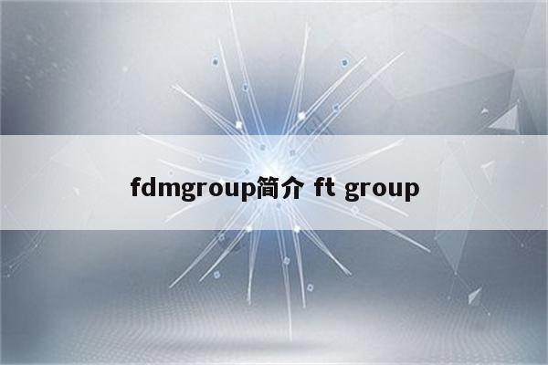 fdmgroup简介 ft group