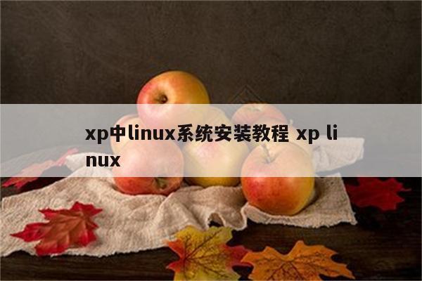 xp中linux系统安装教程 xp linux