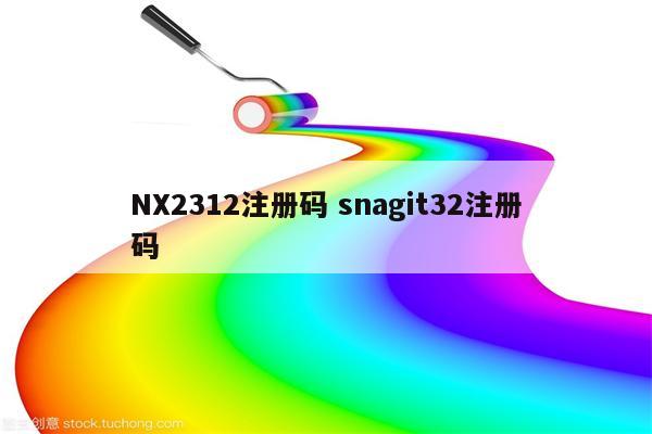 NX2312注册码 snagit32注册码