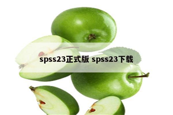 spss23正式版 spss23下载