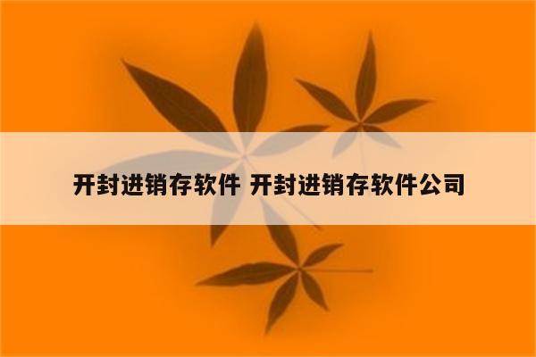 开封进销存软件 开封进销存软件公司