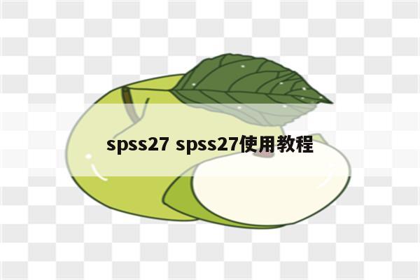 spss27 spss27使用教程