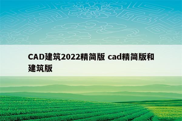 CAD建筑2022精简版 cad精简版和建筑版