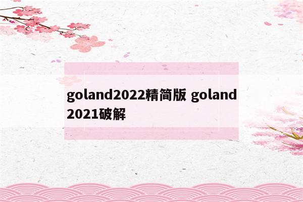 goland2022精简版 goland2021破解