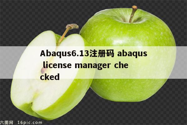 Abaqus6.13注册码 abaqus license manager checked