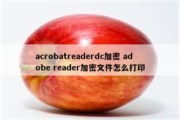 acrobatreaderdc加密 adobe reader加密文件怎么打印