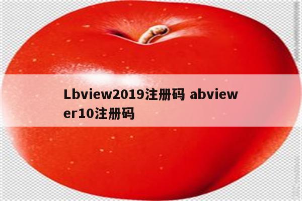 Lbview2019注册码 abviewer10注册码