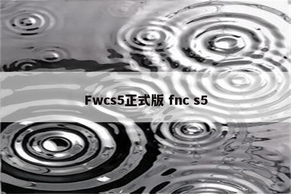 Fwcs5正式版 fnc s5