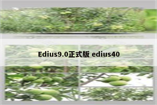 Edius9.0正式版 edius40