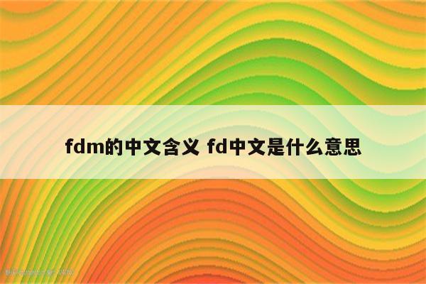 fdm的中文含义 fd中文是什么意思