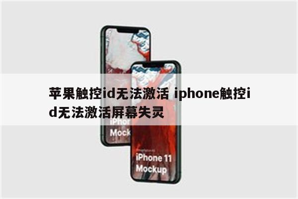 苹果触控id无法激活 iphone触控id无法激活屏幕失灵