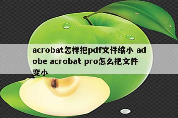 acrobat怎样把pdf文件缩小 adobe acrobat pro怎么把文件变小