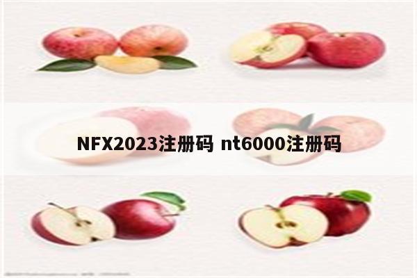 NFX2023注册码 nt6000注册码