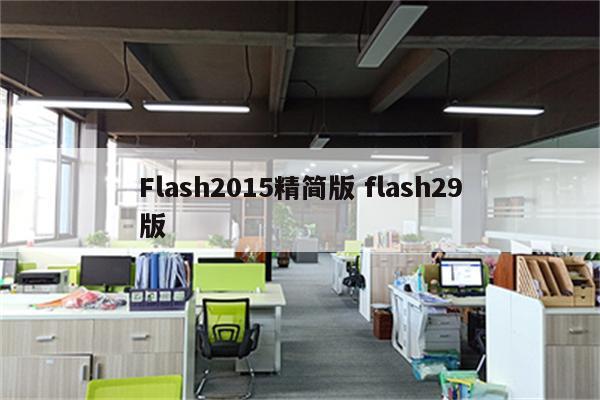 Flash2015精简版 flash29版