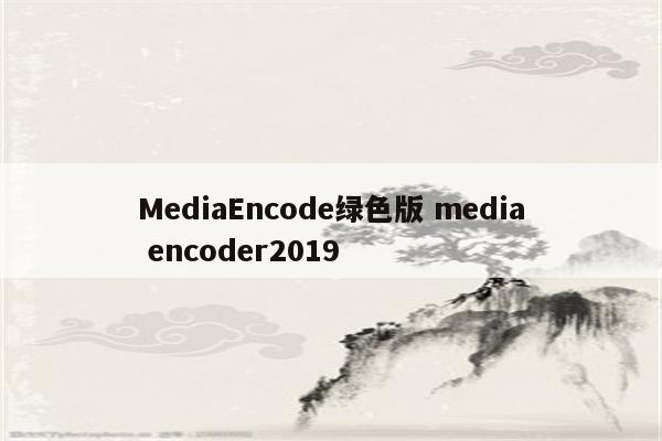 MediaEncode绿色版 media encoder2019