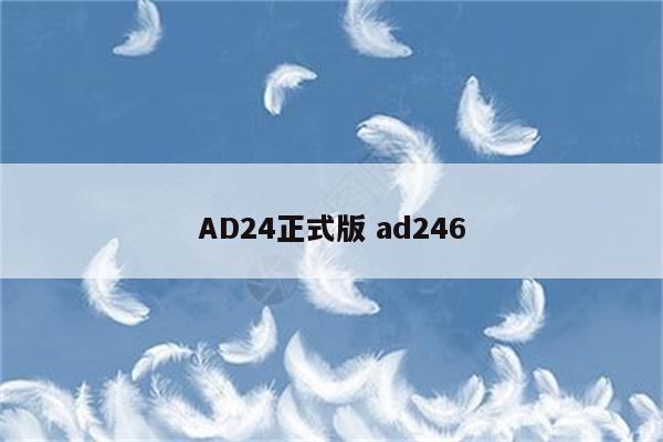 AD24正式版 ad246