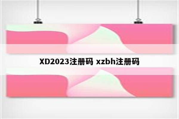 XD2023注册码 xzbh注册码