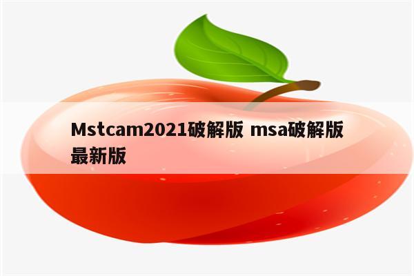 Mstcam2021破解版 msa破解版最新版